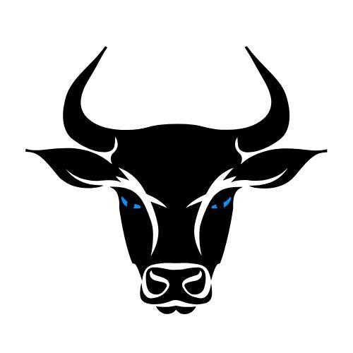 Toro Drywall Logo